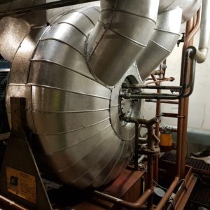 20170829_104440_resized