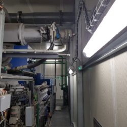 20180811_113729_resized